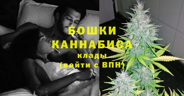 эйфоретик Баксан