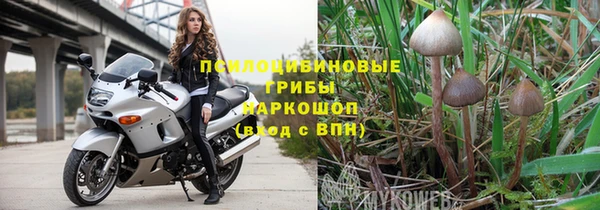 твердый Балахна