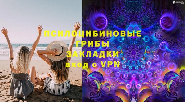 прущие грибы Саяногорск