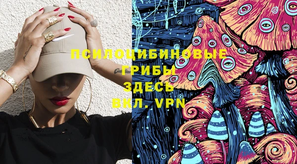 эйфоретик Баксан