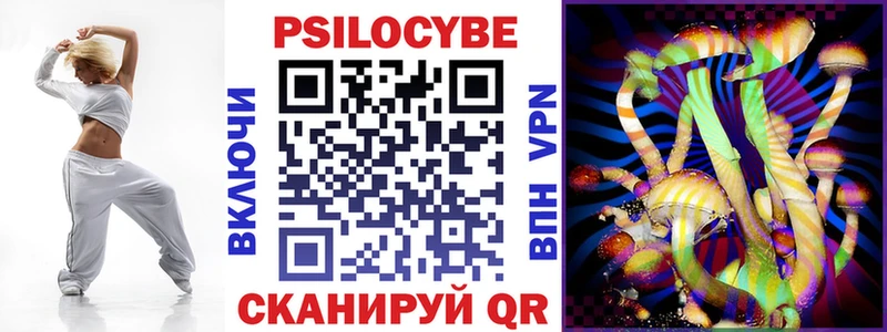 Галлюциногенные грибы Cubensis  где продают   Славск 