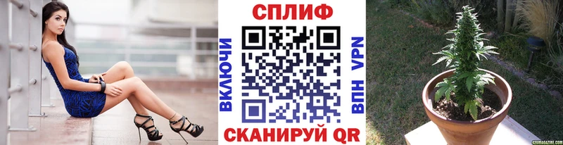Бошки марихуана индика Славск